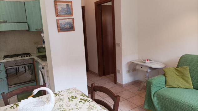 Appartamento in affitto a Caletta - Rosignano Marittimo 40 mq Rif: 1402957 - Foto 6