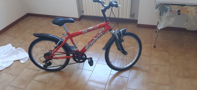 Bicicletta ragazzo