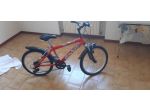 Bicicletta ragazzo