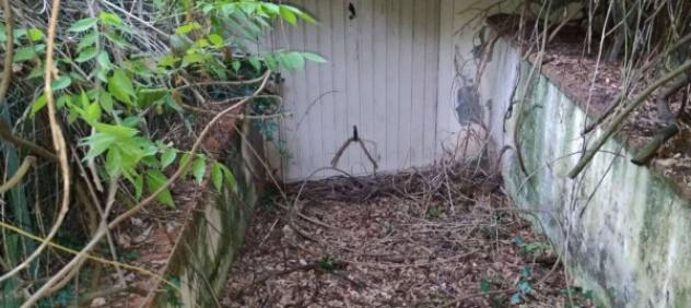 Immobile in asta di 437 m² con più di 5 locali in vendita a Frosinone - Foto 15