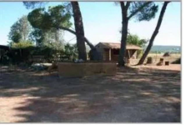 Immobile in asta di 4130 m² in vendita a Gavorrano - Foto 10