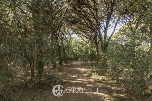 Casale in vendita a Castagneto Carducci - Foto 2