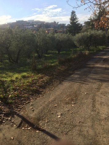 VENDESI lotti terreno agricolo - Foto 5