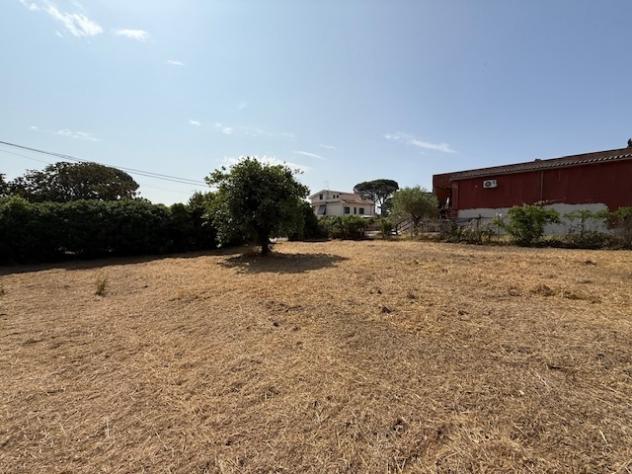Terreno edificabile in vendita a Nettuno - Foto 10