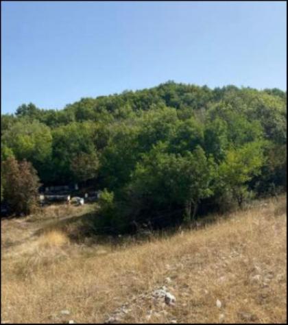 Immobile in asta di 48900 m² in vendita a Oricola - Foto 5