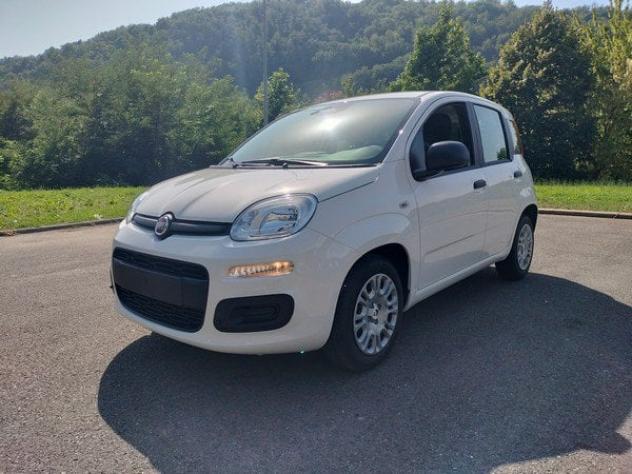 FIAT Pandina 1.0 FireFly 65cv S&S Hybrid Icon con comandi al volante!! - Foto 3