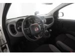 FIAT Panda Panda 1.0 FireFly Hybrid City Life rif. 23697076