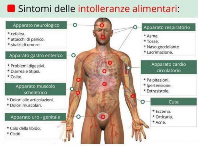 Lezioni, seminari-corsi naturopatia, yoga, tai-chi-chuan,sviluppo energie-psiche - Foto 5