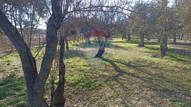 Rustico in vendita a Chiaramonte Gulfi - Foto 14