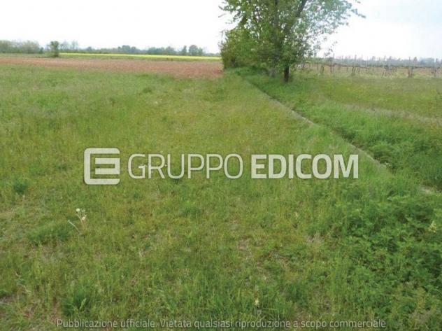 Terreno di 29838 mq in vendita a Paese - Rif. 4549349 - Foto 3