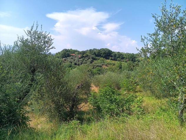Terreno agricolo in vendita a Treggiaia - Pontedera 100000 mq Rif: 938474