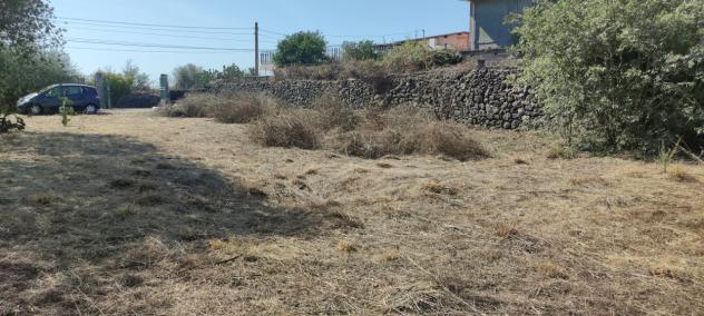 Agricolo in vendita a Misterbianco - Foto 5