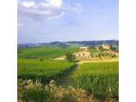 Agriturismo le Viole