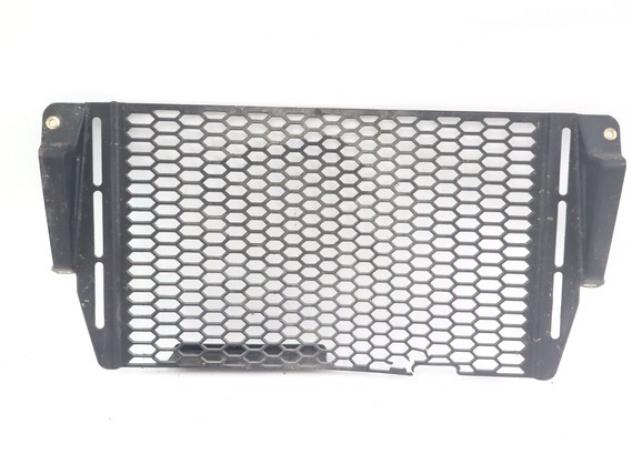 DUCATI HYPERMOTARD 698 MONO RVE 4601R193A GRIGLIA RADIATORE 24 - 26 RADIATOR GRILLE DANNEGGIATA
