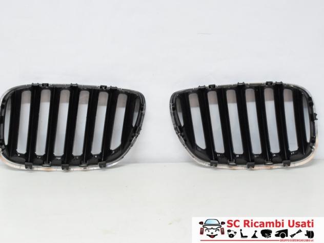 Griglia Paraurti Anteriore Bmw X5 E53 51137124815 51137124816 - 12736 - Foto 2