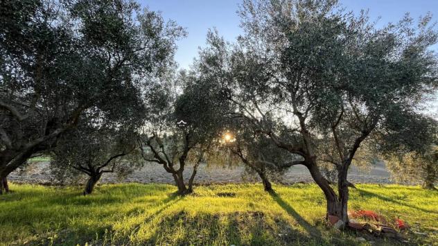 Cartoceto non lontano dal piccolo borgo medievale, in posizione elevata, dominante sull'intera vallata, facilmente raggiungibile dalle principali vie - Foto 5