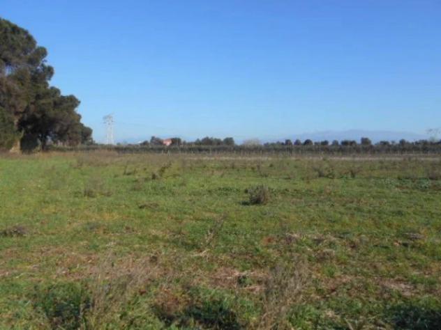 Immobile in asta di 82648 m² in vendita a Latina - Foto 8