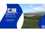Immobile in asta di 842300 m² in vendita a Picerno
