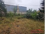 Gallina - Ampio terreno fronte strada con magazzino deposito