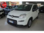 FIAT Panda 1.0 FireFly S&S Hybrid rif. 23448996