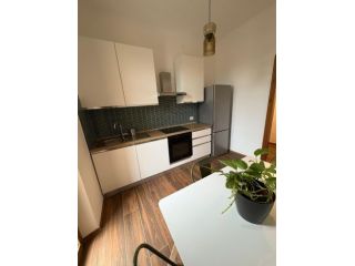 Trilocale ristrutturato con balcone e posto auto