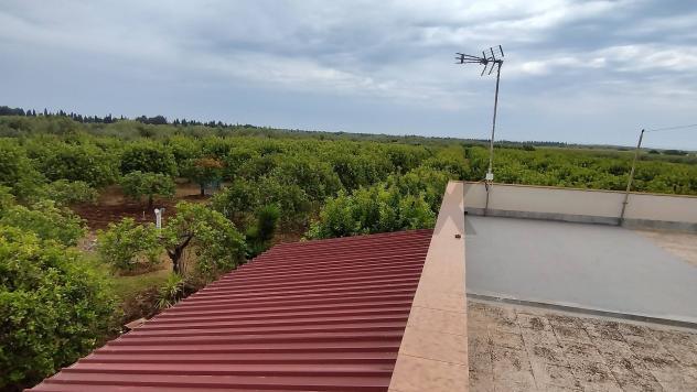 Terreno in vendita a Noto, San Lorenzo - Foto 10