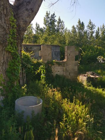 Pozzuoli via Petrarsa Ampio appezzamento terreno con ruderi sovrastanti - Foto 5