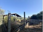 Uliveto in vendita a San Bartolomeo al Mare
