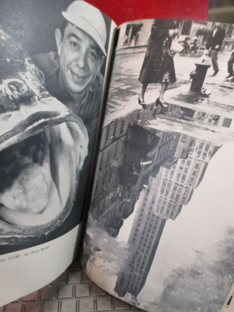 PHOTOGRAPHY annual, edizione1952 ,Lingua  Inglese. - Foto 5