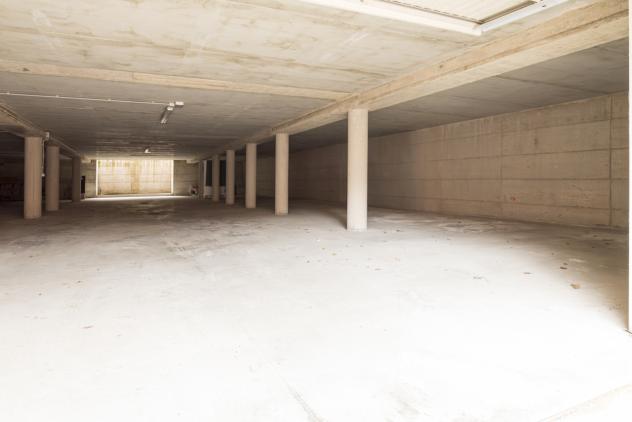 Bilocale in affitto a Castelnuovo Berardenga - Foto 17