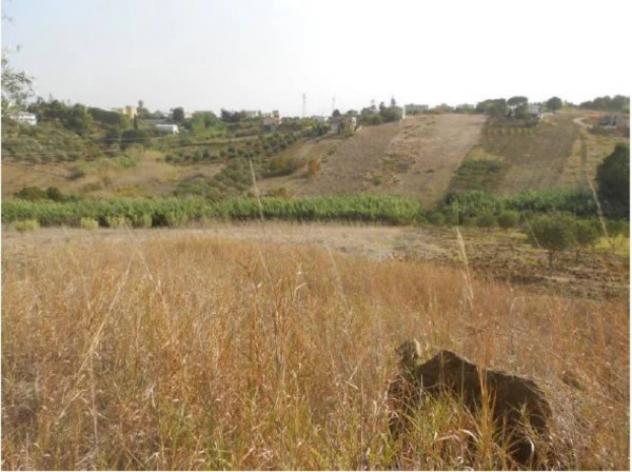 Immobile in asta di 15825 m² in vendita a Alcamo - Foto 4