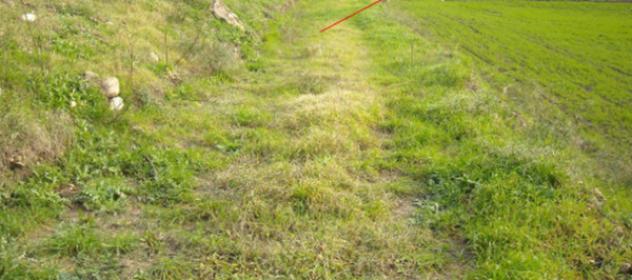 Immobile in asta di 65049 m² in vendita a Lavello - Foto 5