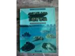Arcipelago Terra - Corso interattivo di Scienze della Terra - con DVD