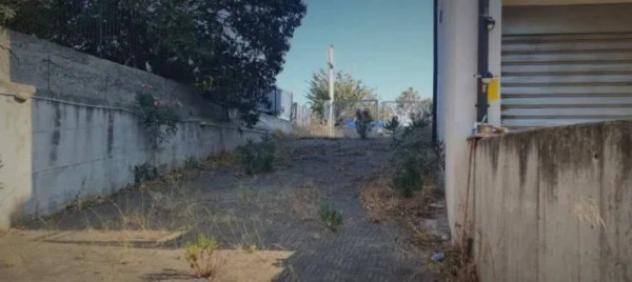 Immobile in asta di 296 m² in vendita a Policoro - Foto 10