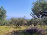 Terreno con rudere di fabbricato, con vista mare