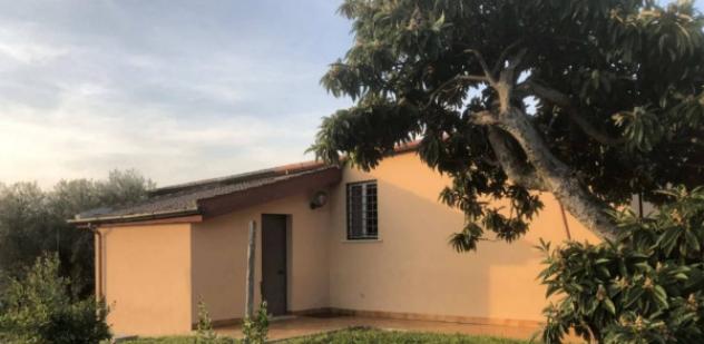 Immobile in asta di 2475 m² in vendita a Velletri - Foto 5