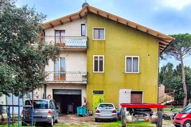 Immobile in asta di 1694 m² in vendita a Castiglione del Lago - Foto 7