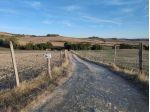 Terreno agricolo in vendita a Castellina in Chianti 200000 mq  Rif: 1353885