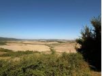 Attività commerciale in vendita a Montalcino 3998 mq  Rif: 1418663