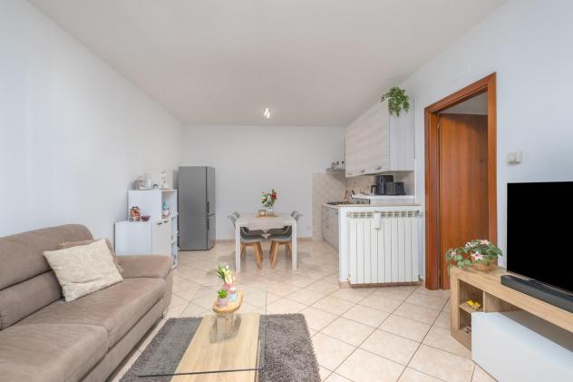 Appartamento in affitto a San Donato - Santa Maria a Monte 55 mq Rif: 1331804 - Foto 6