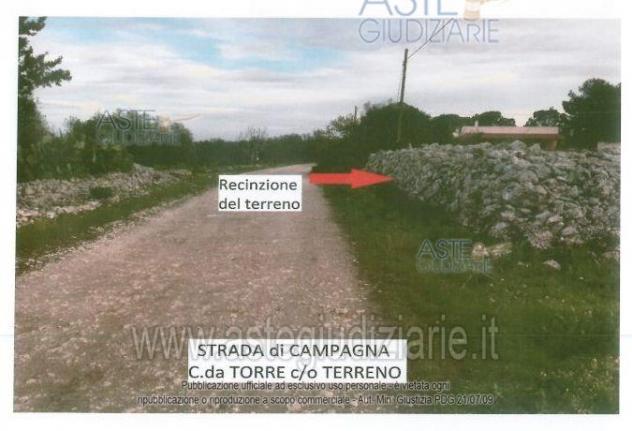 IMMOBILI-ALTRA CATEGORIA-Contrada Torre