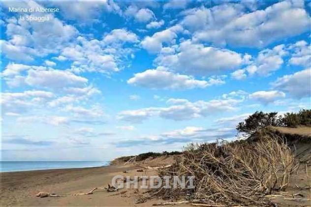 APPARTAMENTO di 4 vani e di 70 mq (GROSSETO) rif. 2568.91M - Foto 20