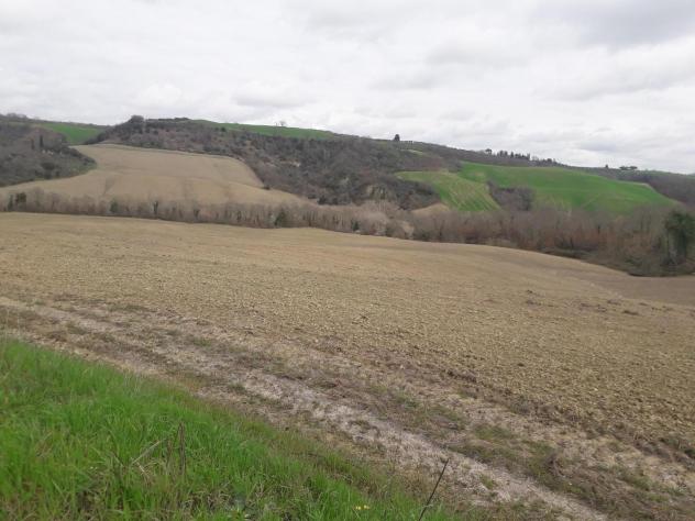 Terreno agricolo in vendita a Asciano 630000 mq Rif: 1083755 - Foto 6