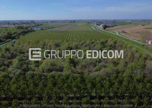 Terreno di 29309 mq in vendita a Cerea - Rif. 4549341 - Foto 3
