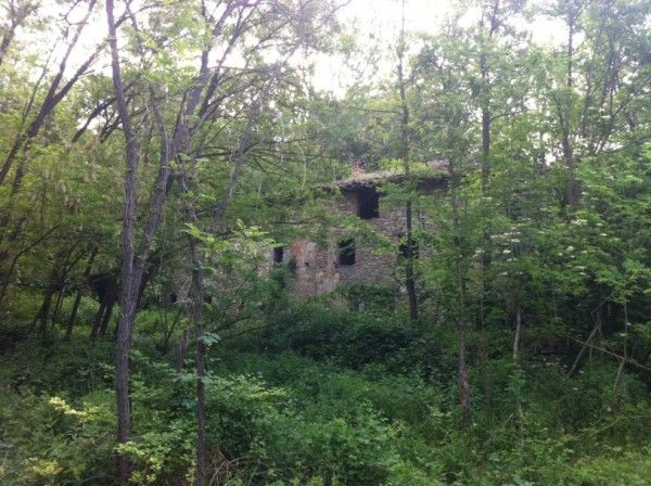 Rustico ex mulino in sassi vic.ze ruscello con terreno 3 ettari - Foto 10