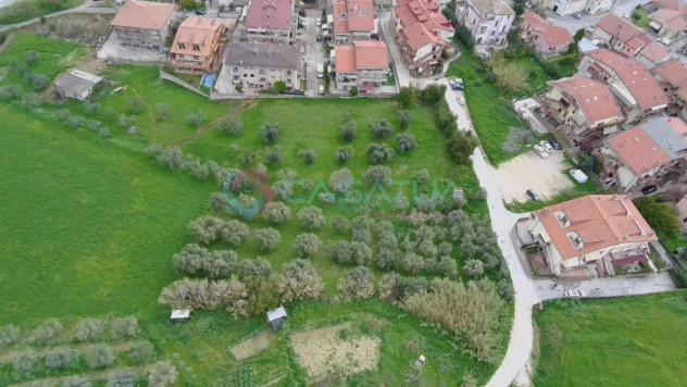 Agricolo in vendita a Silvi