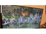 Smart tv Samsung 55 pollici 4 k perfetto