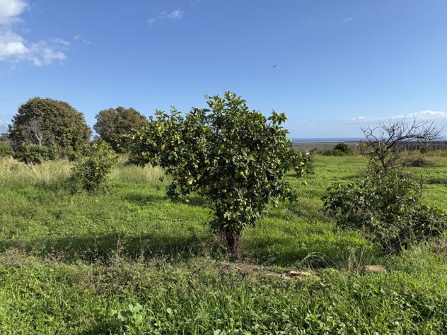 Agricolo in vendita a Giarre - Foto 6