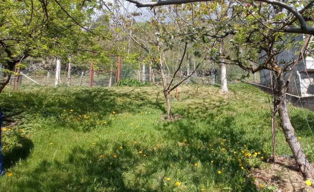 Rustico in vendita a Malonno - Foto 6