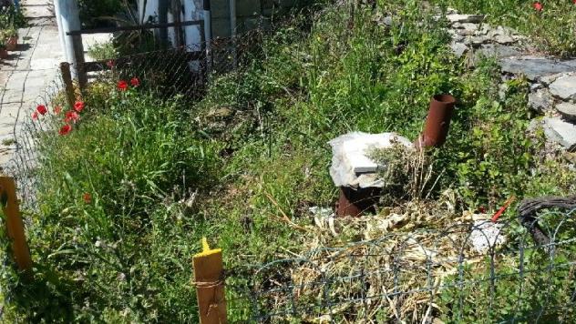 Casa semindipendente in vendita a La Spezia 40 mq Rif: 1043214 - Foto 3